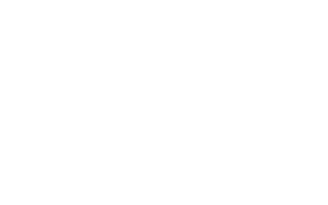 schein-logo