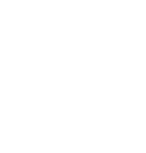 NPG Iconic - New Patient Group